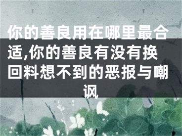 你的善良用在哪里最合适,你的善良有没有换回料想不到的恶报与嘲讽