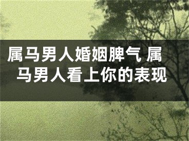 属马男人婚姻脾气 属马男人看上你的表现