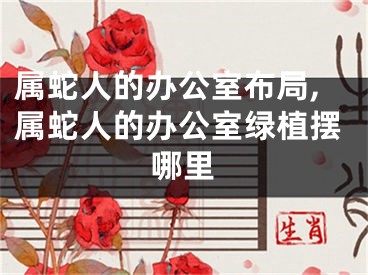 属蛇人的办公室布局,属蛇人的办公室绿植摆哪里