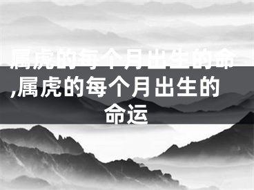 属虎的每个月出生的命,属虎的每个月出生的命运