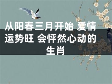 从阳春三月开始 爱情运势旺 会怦然心动的生肖