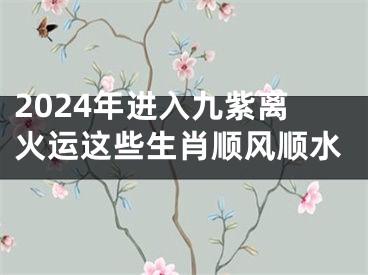 2024年进入九紫离火运这些生肖顺风顺水