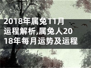 2018年属兔11月运程解析,属兔人2018年每月运势及运程