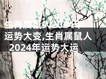 生肖属鼠人2024年运势大变,生肖属鼠人2024年运势大运