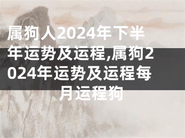 属狗人2024年下半年运势及运程,属狗2024年运势及运程每月运程狗
