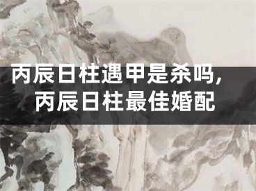 丙辰日柱遇甲是杀吗,丙辰日柱最佳婚配