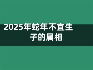 2025年蛇年不宜生子的属相