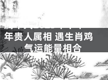 属牛人2023年下半年贵人属相 遇生肖鸡气运能量相合