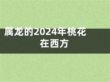 属龙的2024年桃花在西方