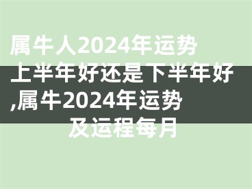属牛人2024年运势上半年好还是下半年好,属牛2024年运势及运程每月