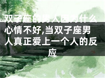 双子座的男人因为什么心情不好,当双子座男人真正爱上一个人的反应