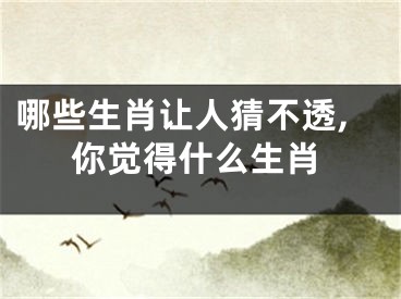 哪些生肖让人猜不透,你觉得什么生肖