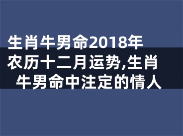 生肖牛男命2018年农历十二月运势,生肖牛男命中注定的情人
