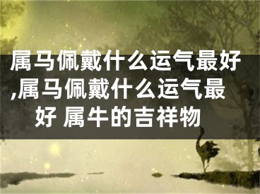 属马佩戴什么运气最好,属马佩戴什么运气最好 属牛的吉祥物