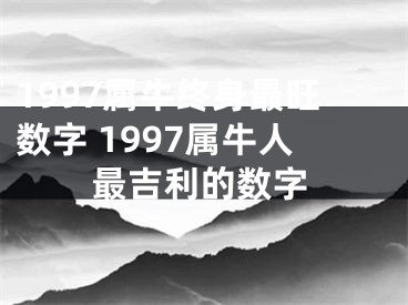 1997属牛终身最旺数字 1997属牛人最吉利的数字