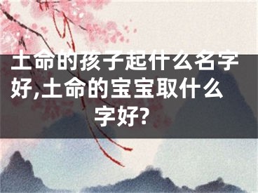 土命的孩子起什么名字好,土命的宝宝取什么字好?
