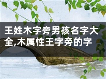 王姓木字旁男孩名字大全,木属性王字旁的字