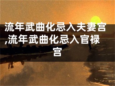 流年武曲化忌入夫妻宫,流年武曲化忌入官禄宫