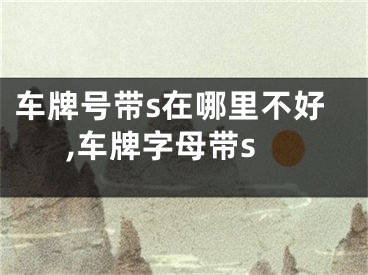 车牌号带s在哪里不好,车牌字母带s