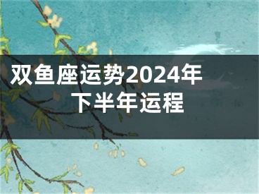 双鱼座运势2024年下半年运程
