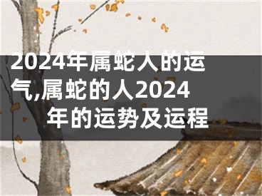 2024年属蛇人的运气,属蛇的人2024年的运势及运程