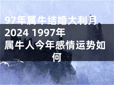97年属牛结婚大利月2024 1997年属牛人今年感情运势如何