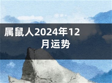 属鼠人2024年12月运势