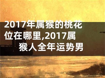 2017年属猴的桃花位在哪里,2017属猴人全年运势男