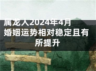 属龙人2024年4月婚姻运势相对稳定且有所提升