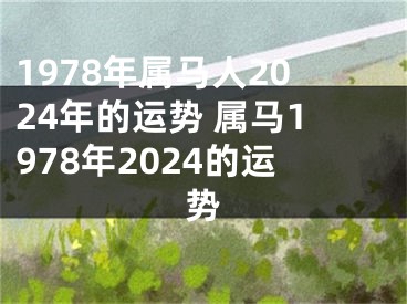 1978年属马人2024年的运势 属马1978年2024的运势