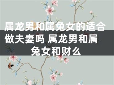 属龙男和属兔女的适合做夫妻吗 属龙男和属兔女和财么