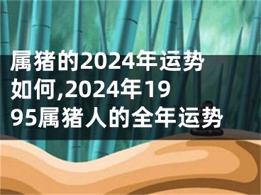 属猪的2024年运势如何,2024年1995属猪人的全年运势