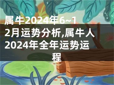 属牛2024年6~12月运势分析,属牛人2024年全年运势运程