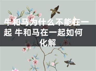 牛和马为什么不能在一起 牛和马在一起如何化解