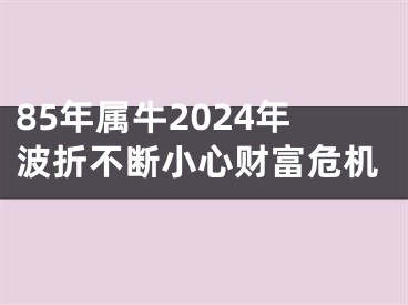 85年属牛2024年波折不断小心财富危机