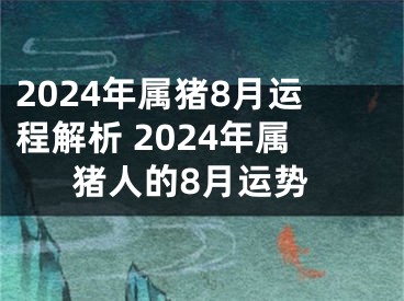 2024年属猪8月运程解析 2024年属猪人的8月运势