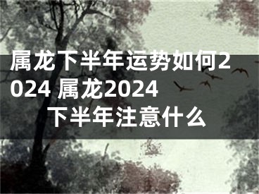 属龙下半年运势如何2024 属龙2024下半年注意什么
