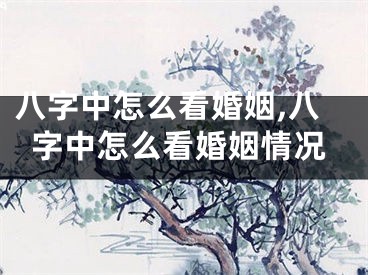 八字中怎么看婚姻,八字中怎么看婚姻情况