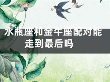 水瓶座和金牛座配对能走到最后吗 