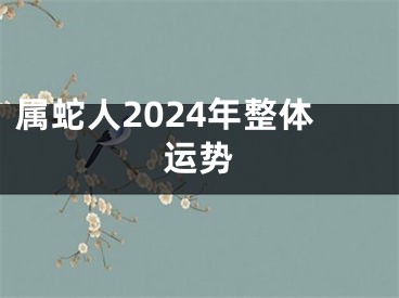 属蛇人2024年整体运势
