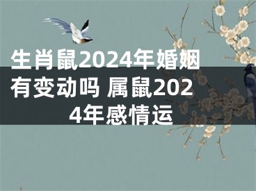 生肖鼠2024年婚姻有变动吗 属鼠2024年感情运