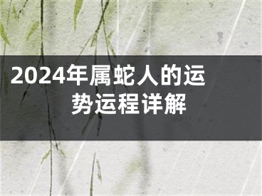 2024年属蛇人的运势运程详解