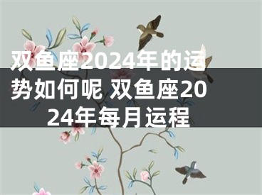 双鱼座2024年的运势如何呢 双鱼座2024年每月运程