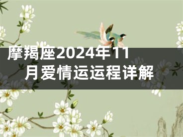 摩羯座2024年11月爱情运运程详解