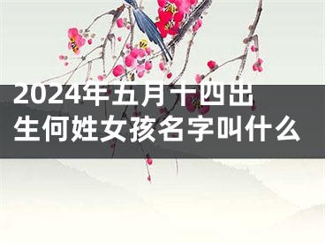 2024年五月十四出生何姓女孩名字叫什么
