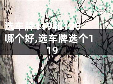 选车牌119和120哪个好,选车牌选个119