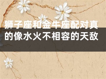 狮子座和金牛座配对真的像水火不相容的天敌 
