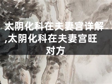 太阴化科在夫妻宫详解,太阴化科在夫妻宫旺对方