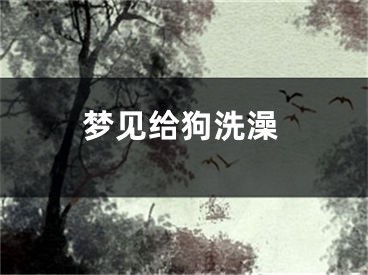 梦见给狗洗澡