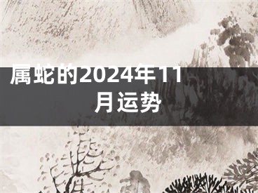 属蛇的2024年11月运势